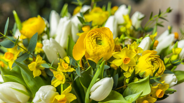 Spring Posies